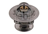 Thermostat, Kühlmittel