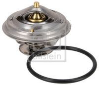 Thermostat, Kühlmittel