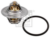 Thermostat, Kühlmittel