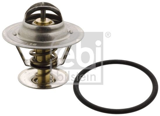 Thermostat, Kühlmittel