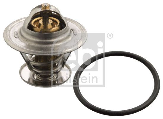 Thermostat, Kühlmittel