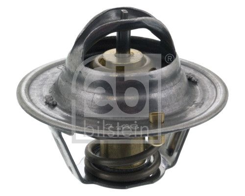 Thermostat, Kühlmittel