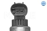 Sensor, Kühlmitteltemperatur
