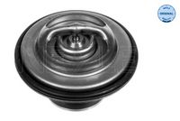 Thermostat, Kühlmittel