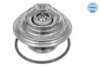Thermostat, Kühlmittel