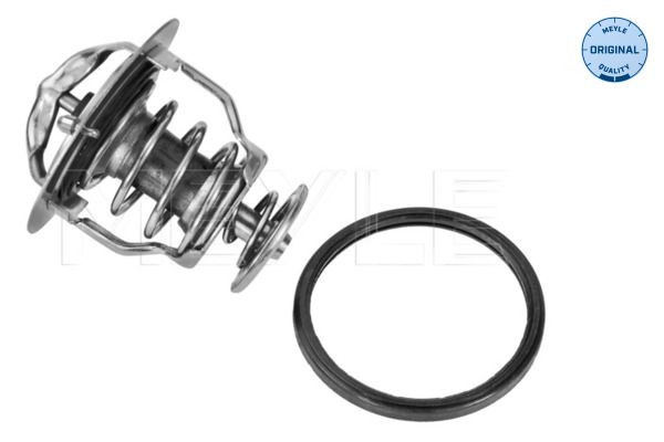 Thermostat, Kühlmittel