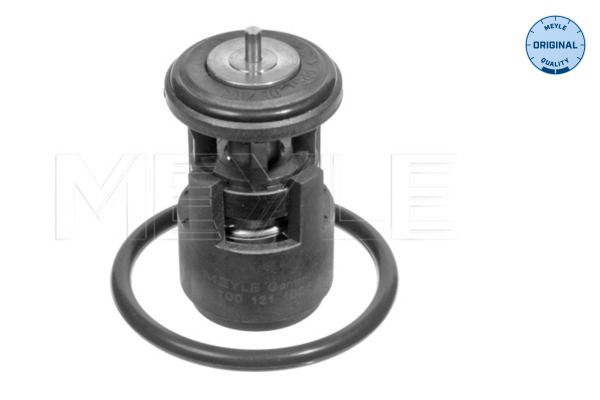 Thermostat, Kühlmittel