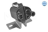 Sensor, Nockenwellenposition