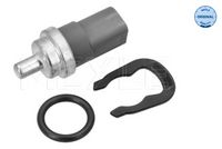 Sensor, Kühlmitteltemperatur
