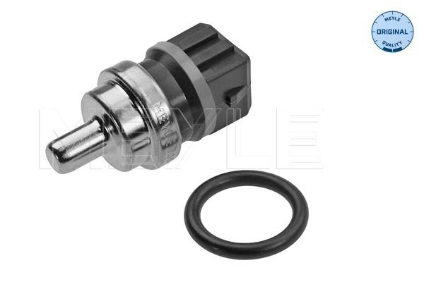 Sensor, Kühlmitteltemperatur