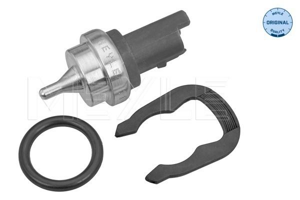 Sensor, Kühlmitteltemperatur