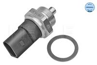Sensor, Kühlmitteltemperatur