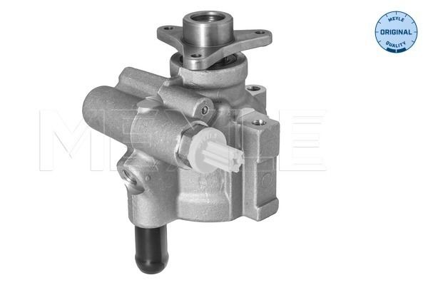 Hydraulikpumpe, Lenkung