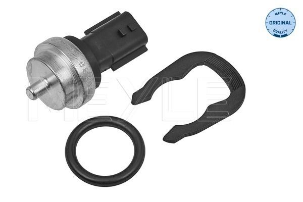 Sensor, Kühlmitteltemperatur