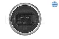 Sensor, Kühlmitteltemperatur