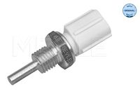 Sensor, Kühlmitteltemperatur