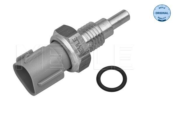 Sensor, Kühlmitteltemperatur