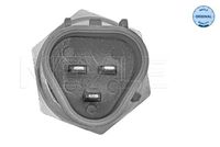 Sensor, Kühlmitteltemperatur