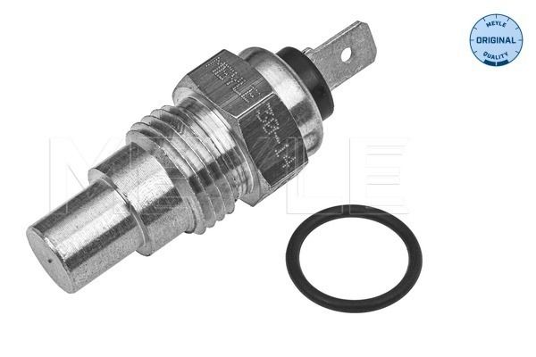 Sensor, Kühlmitteltemperatur