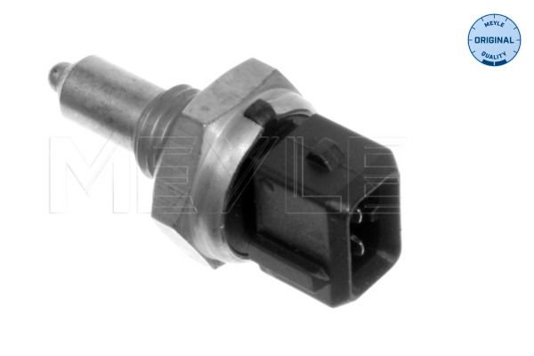 Sensor, Kühlmitteltemperatur