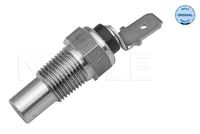 Sensor, Kühlmitteltemperatur