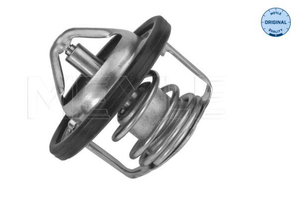 Thermostat, Kühlmittel