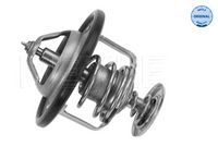 Thermostat, Kühlmittel