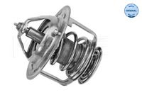 Thermostat, Kühlmittel