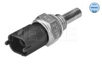 Sensor, Kühlmitteltemperatur