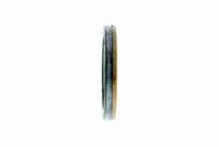 Wellendichtring, Differential