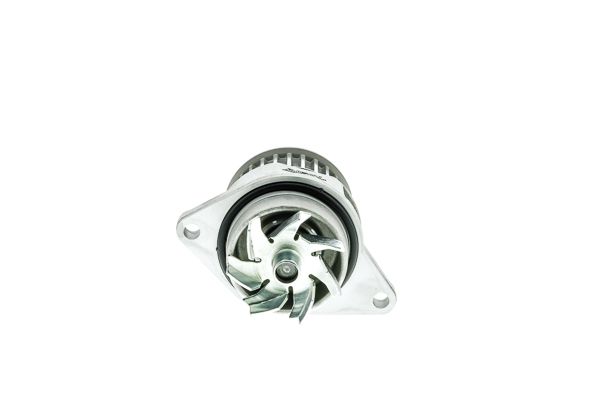 WE-VW06_0166