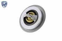 Thermostat, Kühlmittel