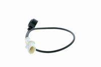 Klopfsensor