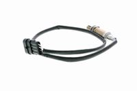 Sensor, Kühlmitteltemperatur