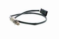 Sensor, Kühlmitteltemperatur