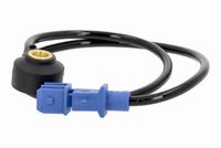 Klopfsensor