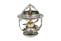 Thermostat, Kühlmittel