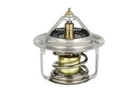 Thermostat, Kühlmittel