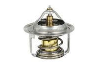 Thermostat, Kühlmittel
