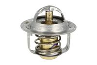 Thermostat, Kühlmittel