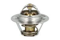 Thermostat, Kühlmittel