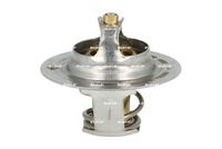 Thermostat, Kühlmittel