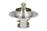 Thermostat, Kühlmittel