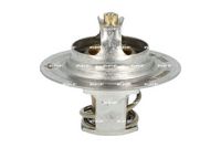 Thermostat, Kühlmittel