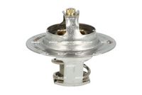 Thermostat, Kühlmittel