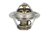 Thermostat, Kühlmittel