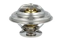 Thermostat, Kühlmittel