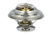 Thermostat, Kühlmittel
