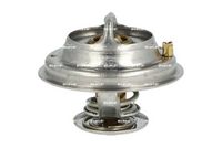Thermostat, Kühlmittel