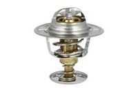 Thermostat, Kühlmittel